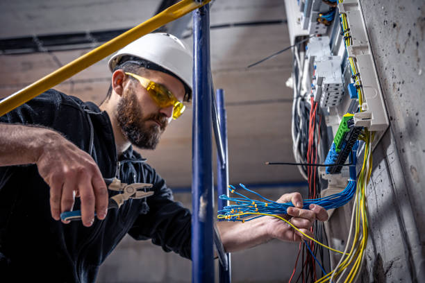 Best Industrial Electrical Services  in Litchfield, MI