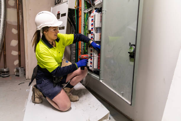 Best 24-Hour Electrician  in Litchfield, MI