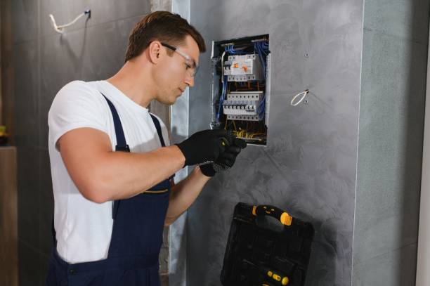 Best Licensed Electrician  in Litchfield, MI