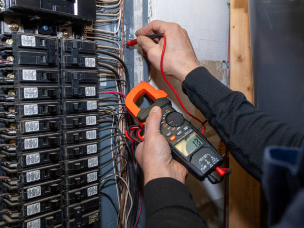 Best Electrical System Inspection  in Litchfield, MI