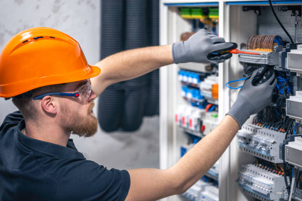Best Local Electrician Companies  in Litchfield, MI