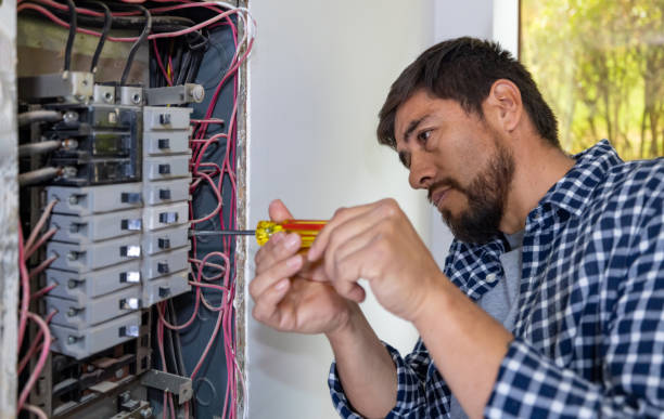 Best Affordable Electrical Installation  in Litchfield, MI
